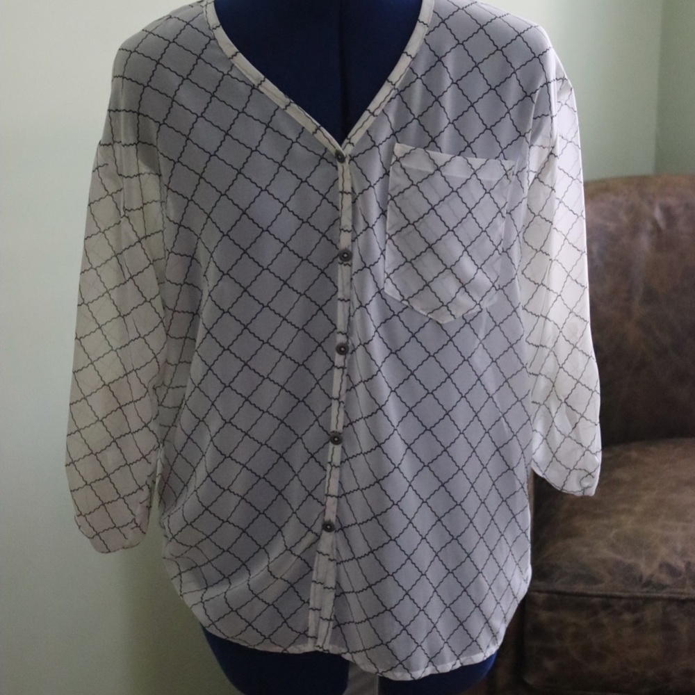 CAbi Sheer long sleeved blouse